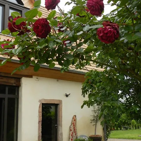 Gite Autonome, La Grange A Foin, Piscine ! Bergholtz