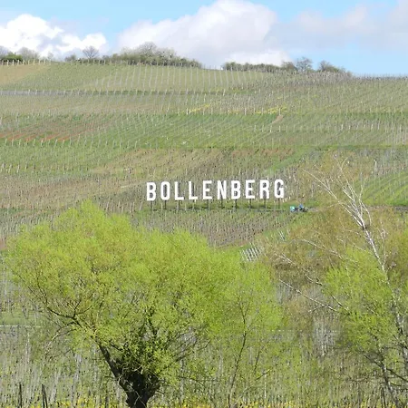 Gite Autonome, La Grange A Foin, Piscine ! *