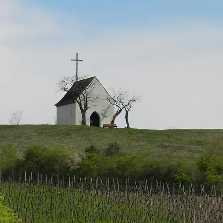 アパート Gite Autonome, La Grange A Foin, Piscine ! ベルクホルツ