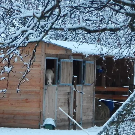 Gite Autonome, La Grange A Foin, Piscine ! Bergholtz